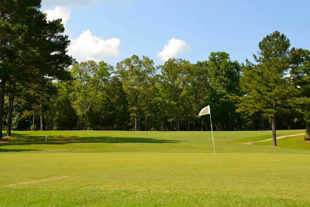 cahaba-falls-golf-course-2