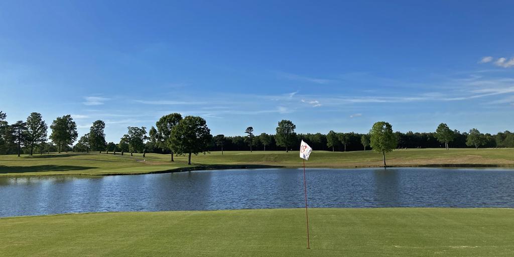 little-mole-country-club-1755490842938