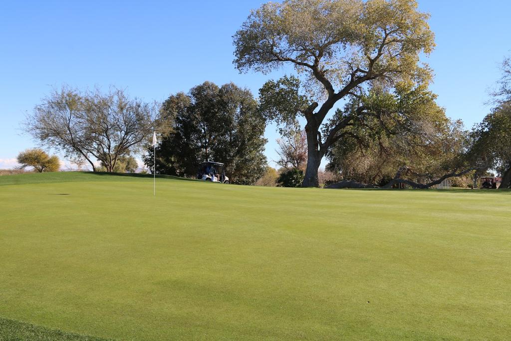 dave-white-municipal-golf-course-1755470473407