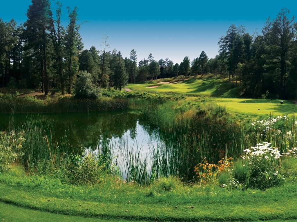 torreon-golf-club-1755476619457