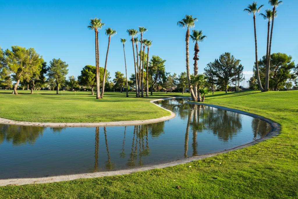 dobson-ranch-golf-course-6