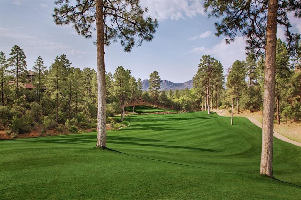 the-golf-club-at-chaparral-pines-1