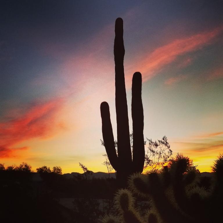 gold-canyon-golf-course-6