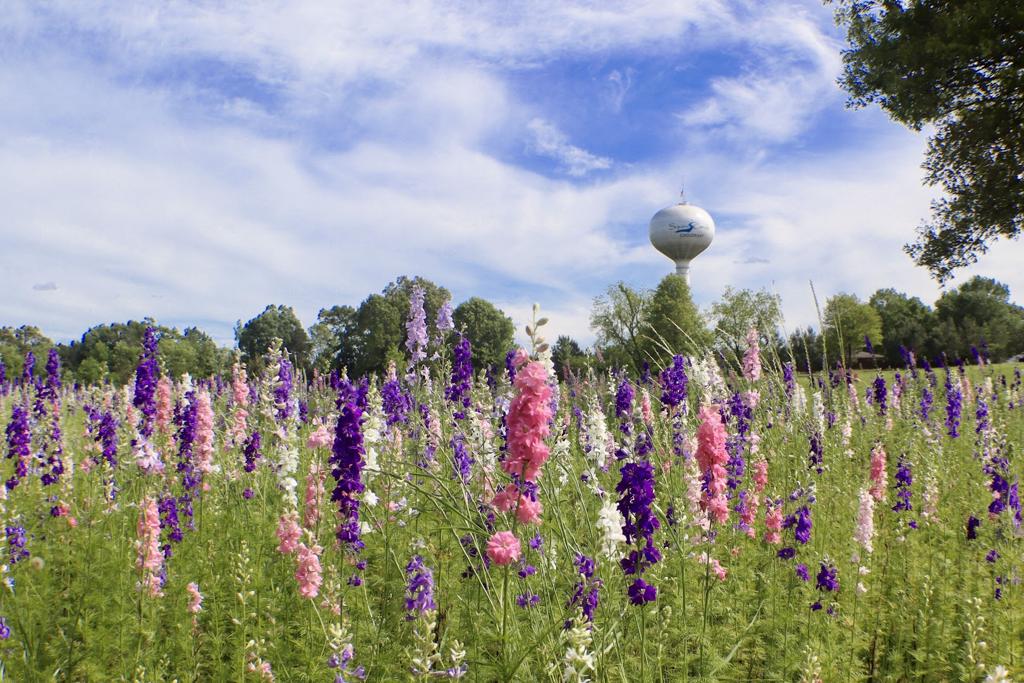 squire-creek-country-club-4