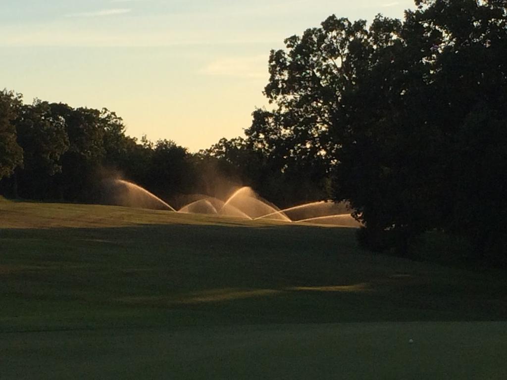 vache-grasse-country-club-3
