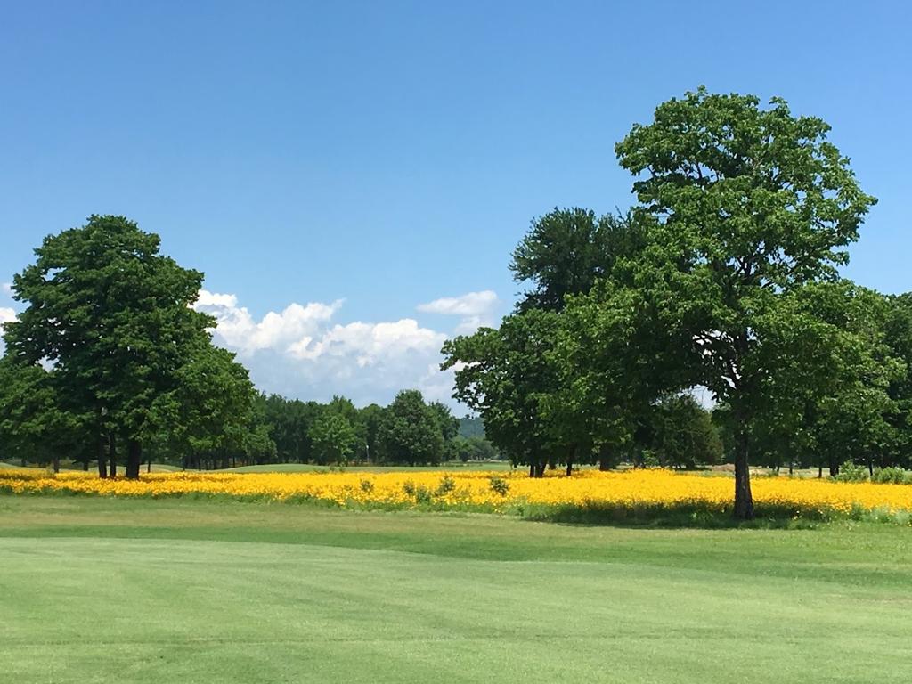 ben-geren-public-golf-course-1755476941806