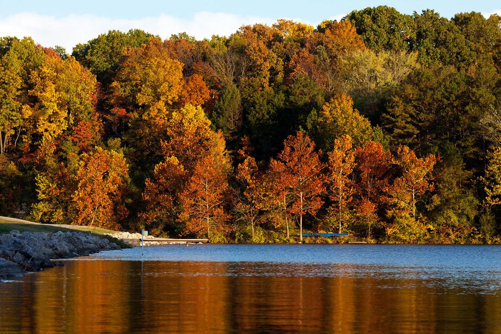 bella-vista-property-owners-association-2