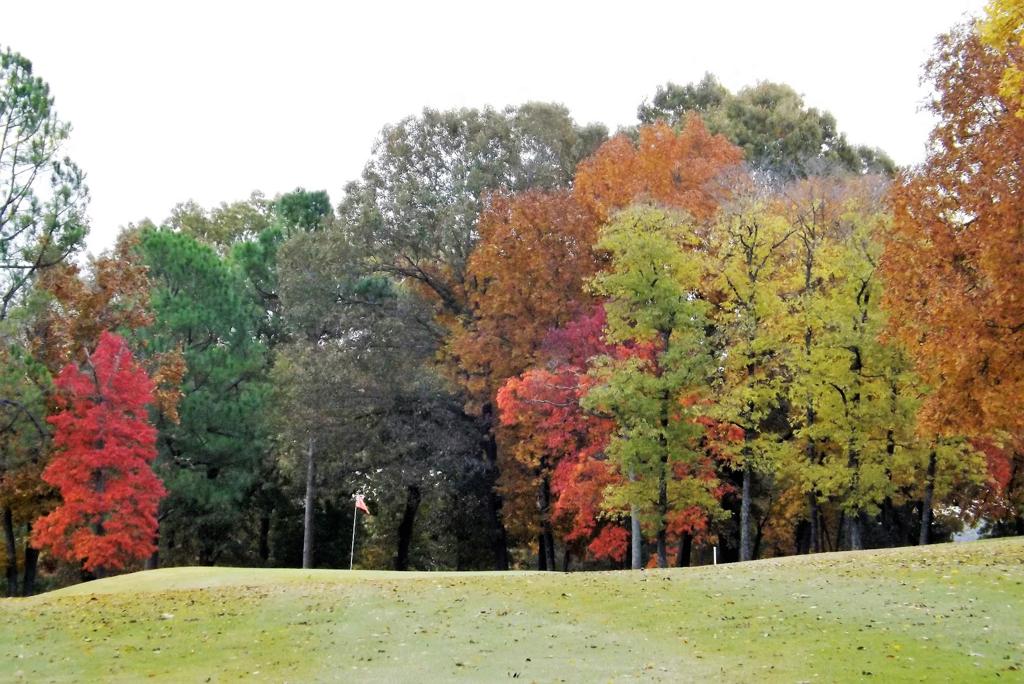 cherokee-village-north-course-1755480101766