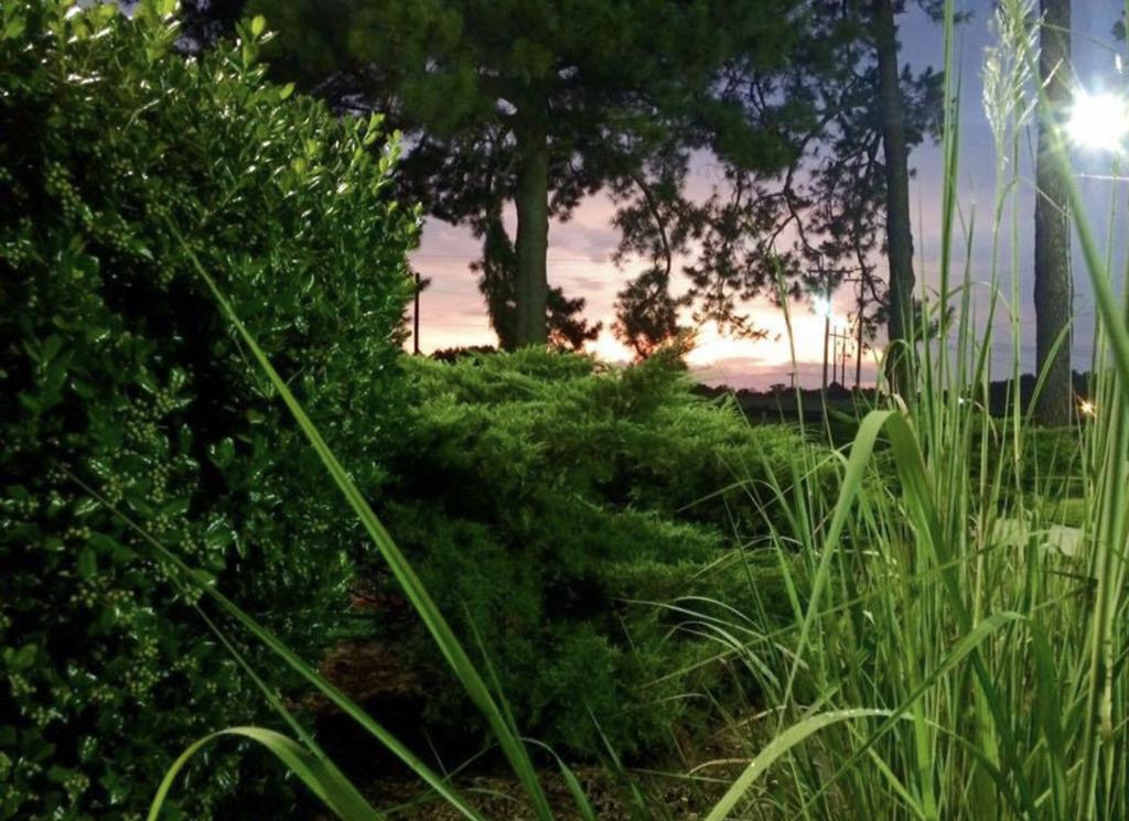 golf-world-1755480741577