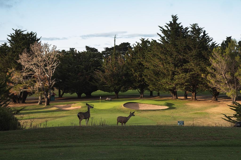 crystal-springs-golf-course-5
