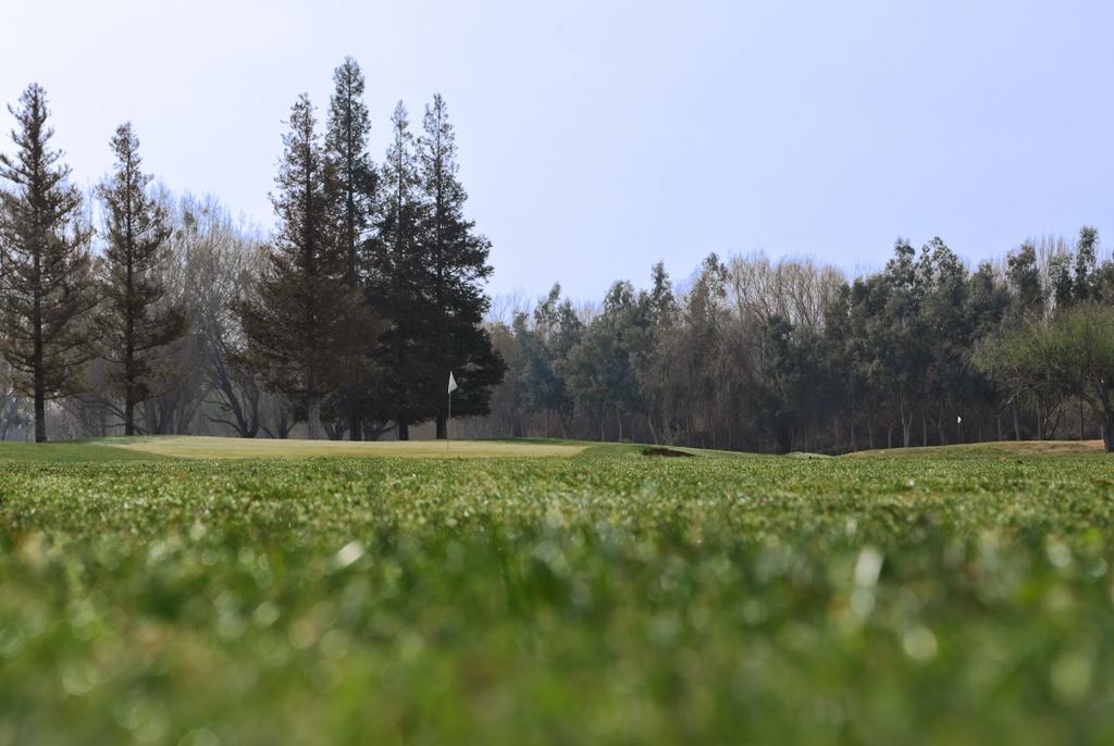 jack-tone-golf-5