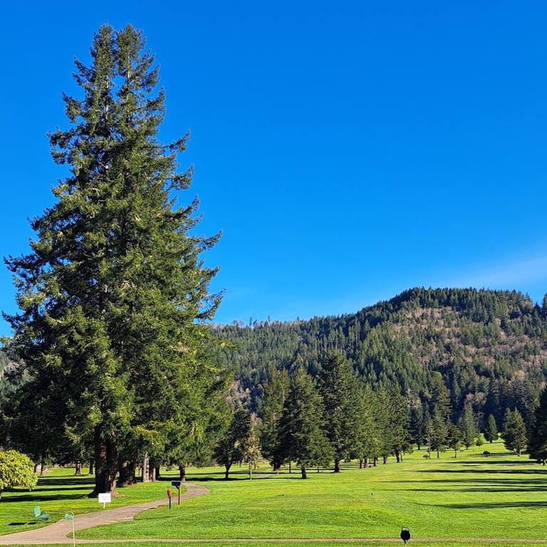 del-norte-golf-course-1755474590195