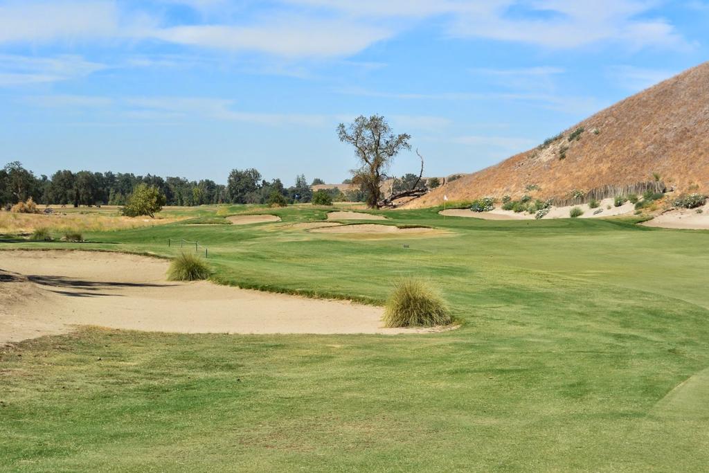 dragonfly-golf-club-5