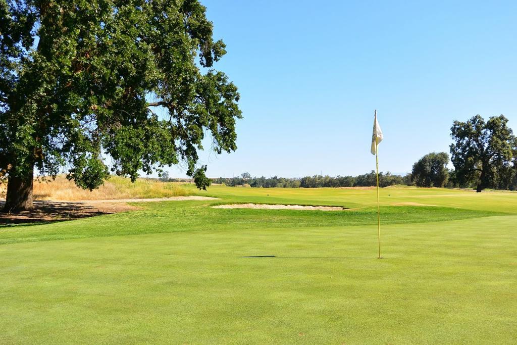 dragonfly-golf-club-2