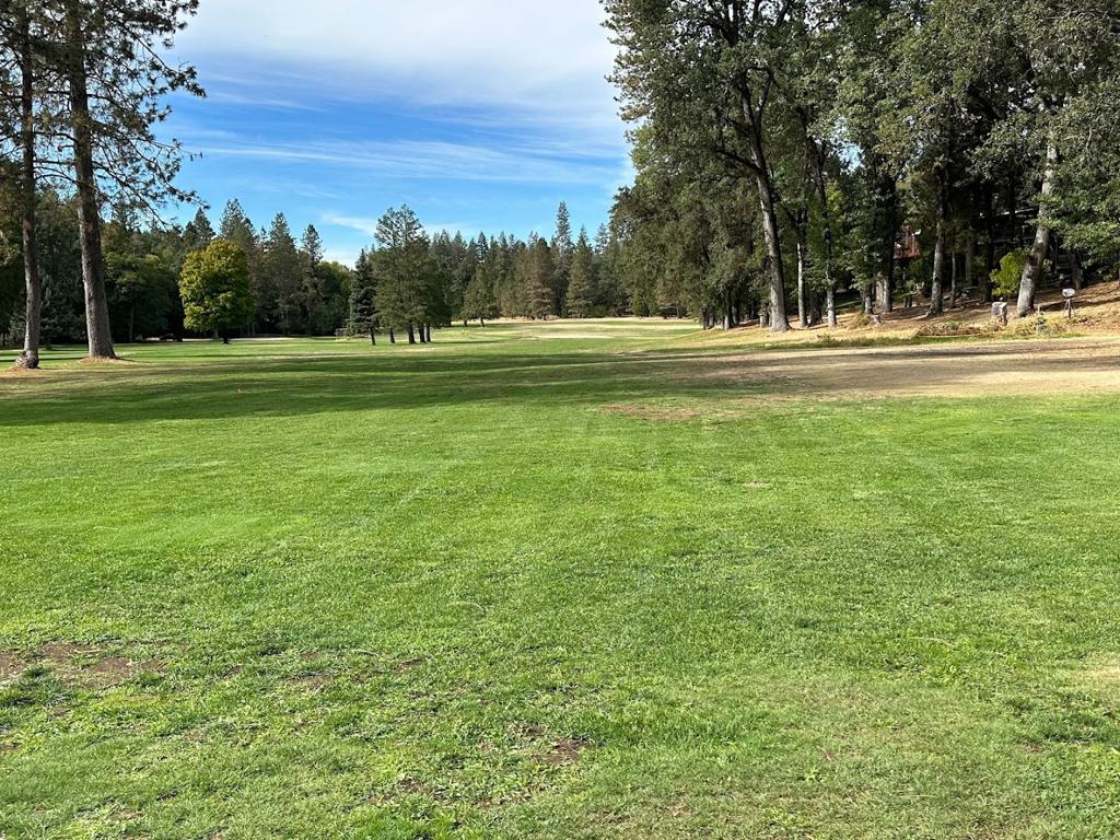 belmont-pines-golf-course-1