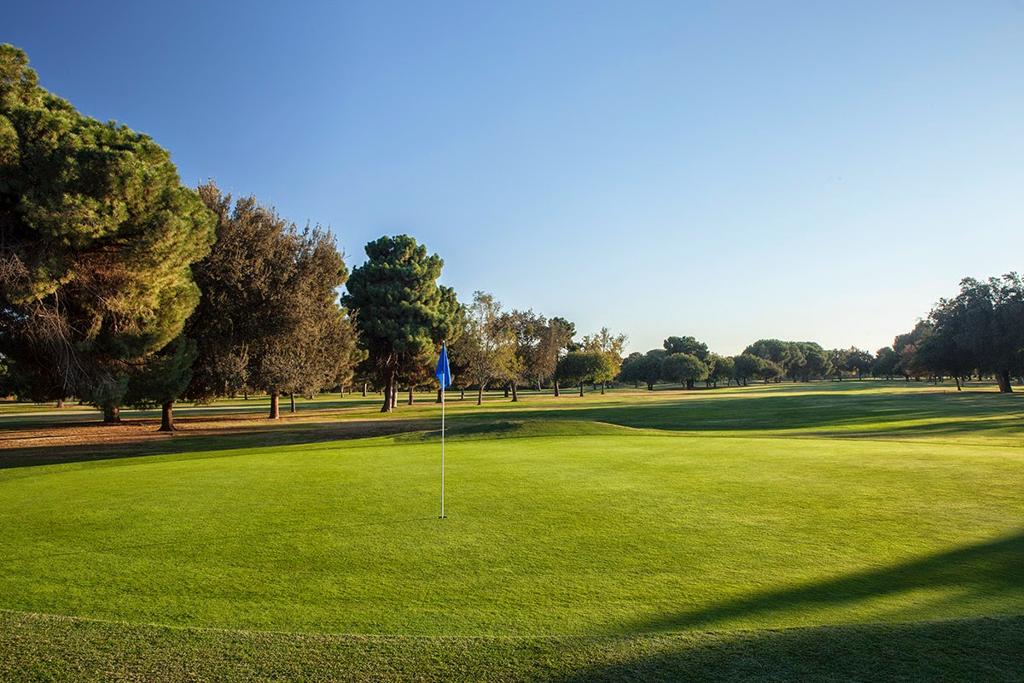 dryden-park-golf-course-1