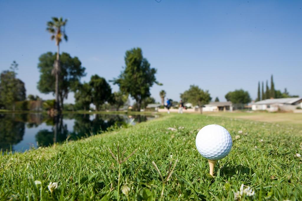 cottonwood-golf-center-1755480727345