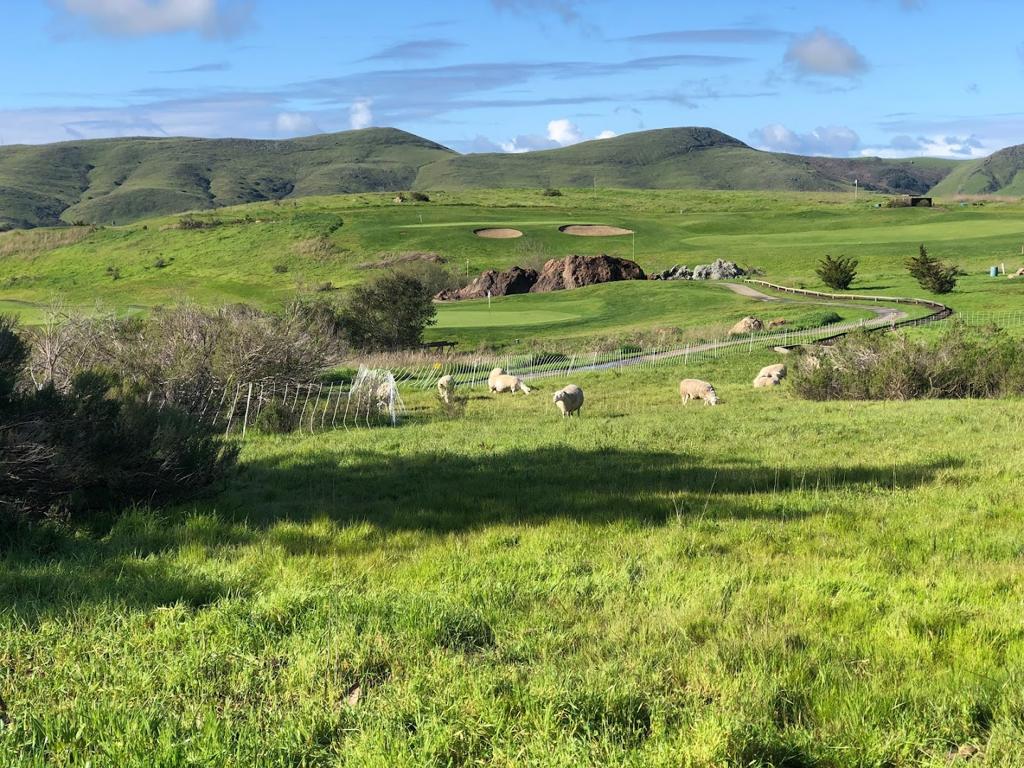 dairy-creek-golf-course-1755492177016