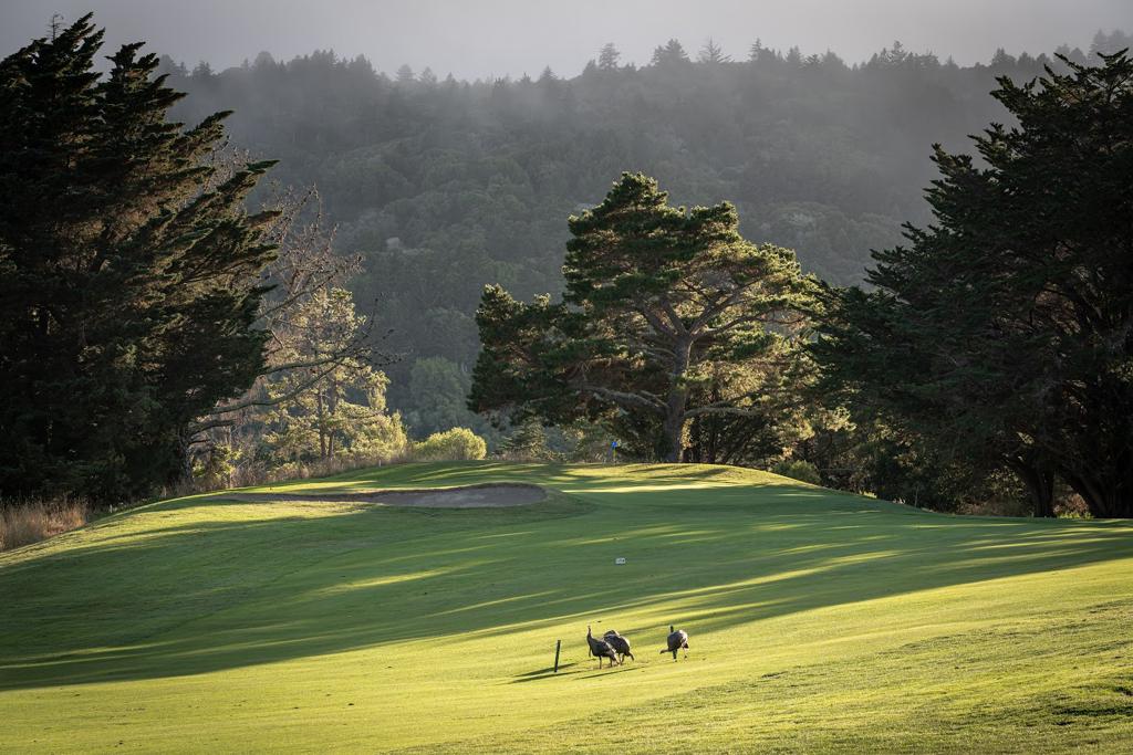 crystal-springs-golf-course-5