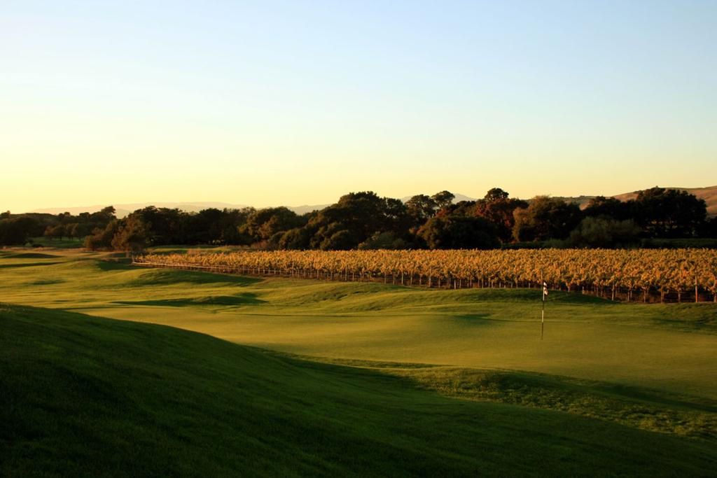 chardonnay-golf-club-1755494234945