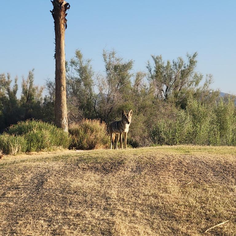roadrunner-dunes-golf-course-1755495414924