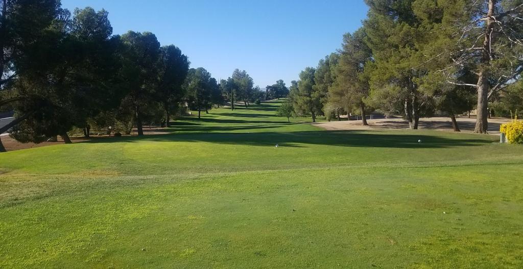 green-tree-golf-course-1755495819370