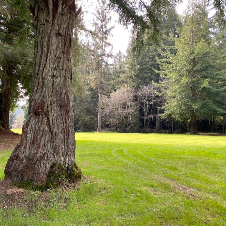 baywood-golf-country-club-5