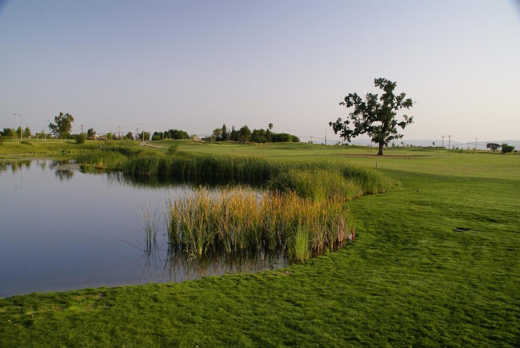 wild-wings-golf-club-1