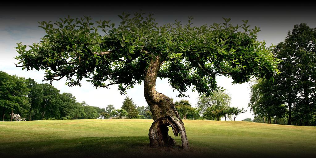 highfield-club-1755480426544