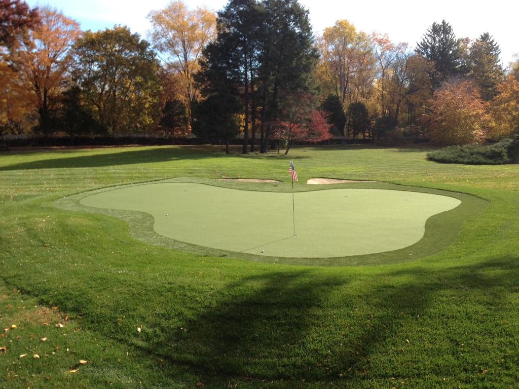 prolinks-putting-greens-1755481082216