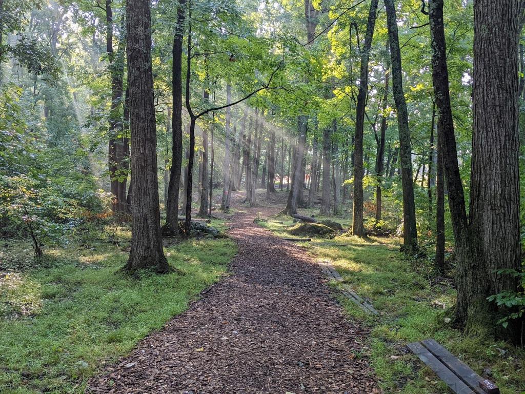 panthorn-park-disc-golf-course-1755490317721