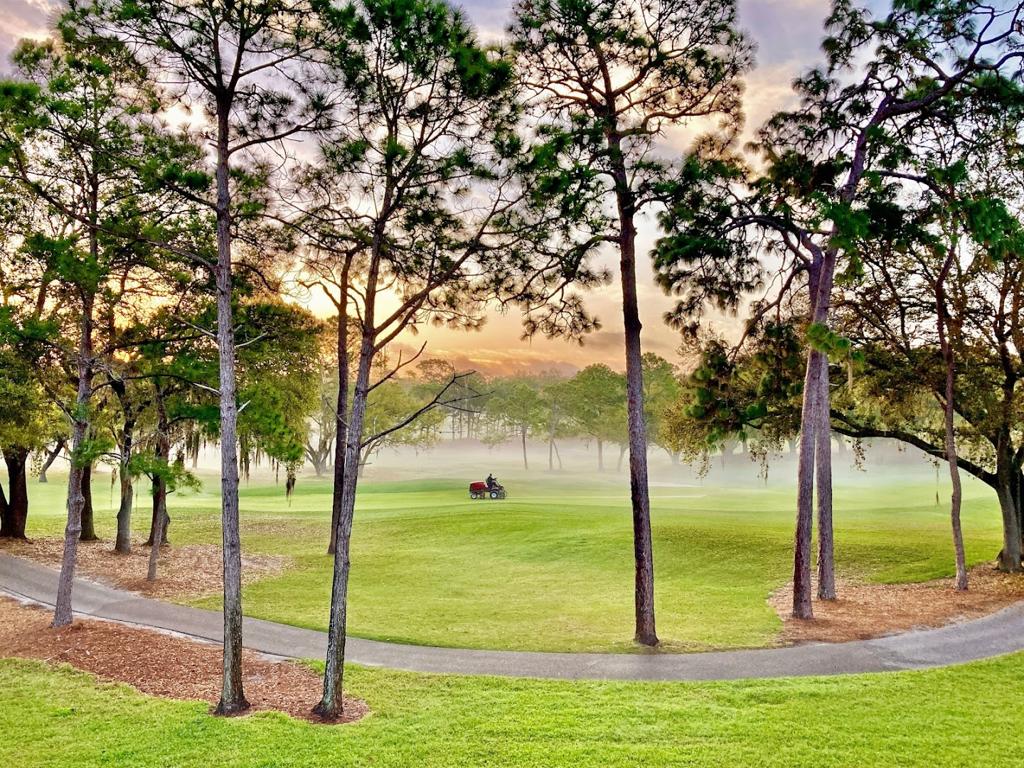 innisbrook-resort-1755466530817