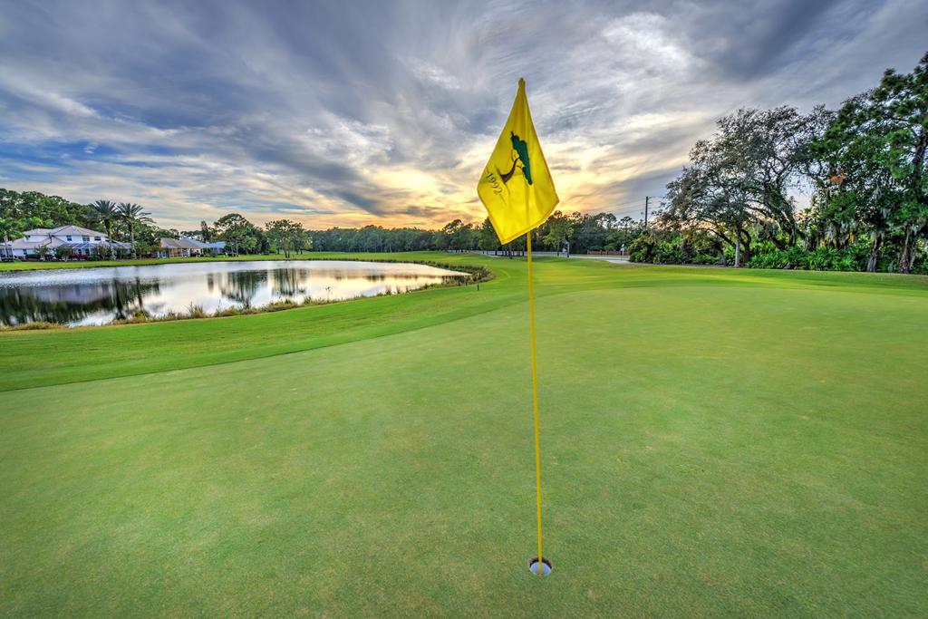 cypress-head-golf-club-4