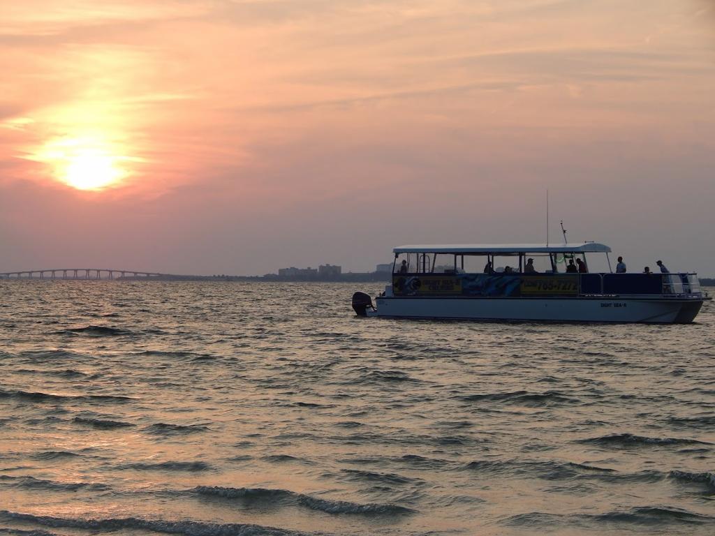 sight-sea-r-cruises-5