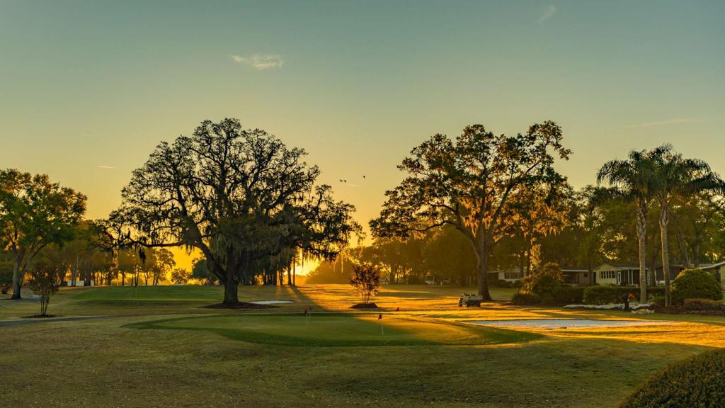 water-oak-golf-course-1