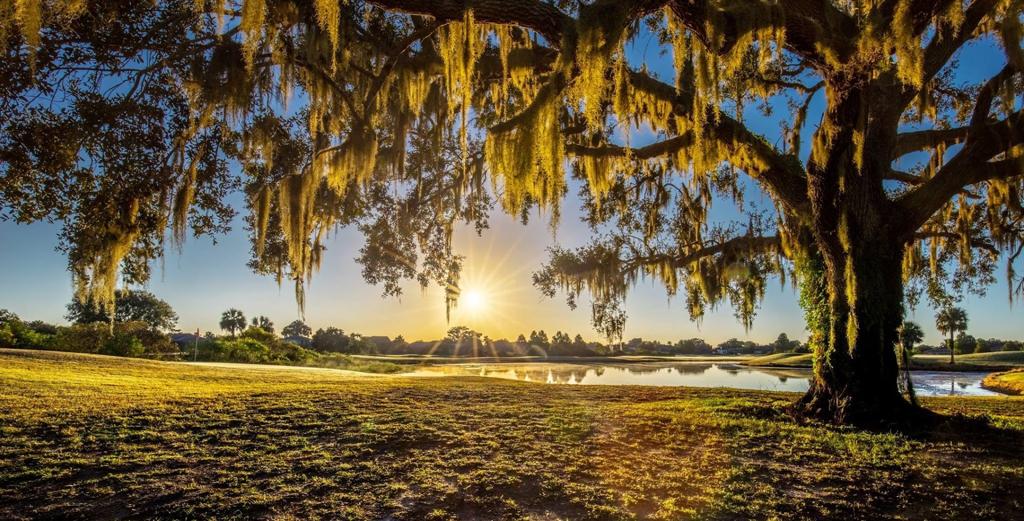 kissimmee-bay-country-club-1755478532709