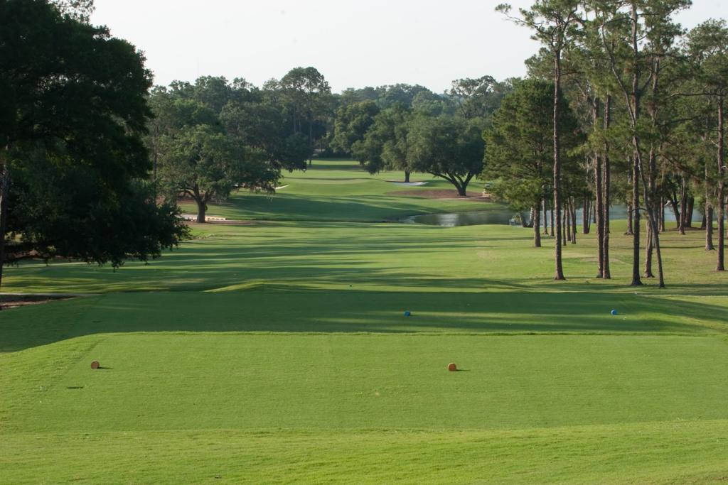 ocala-golf-club-5