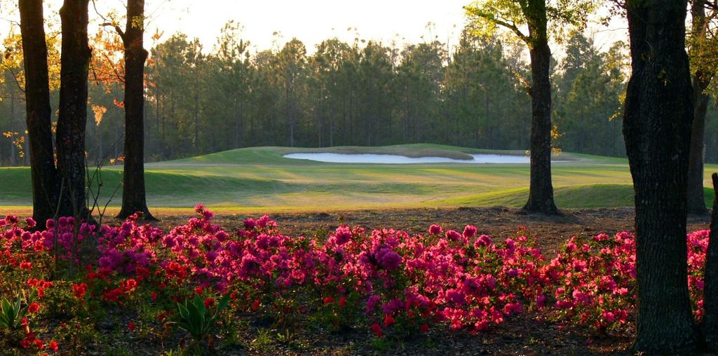 eagle-landing-golf-club-1755481562203