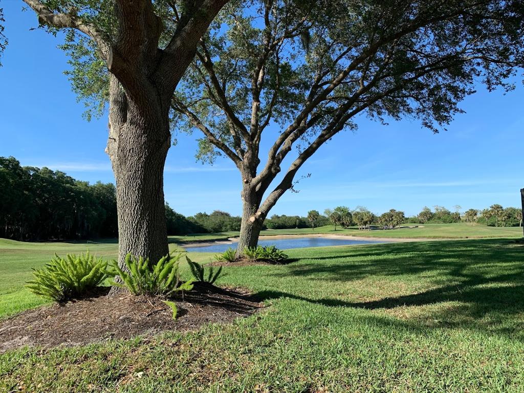 misty-creek-country-club-5