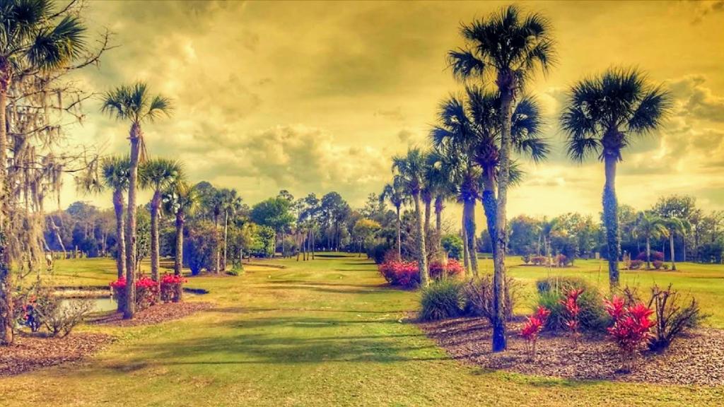 palm-valley-golf-club-1755490443542