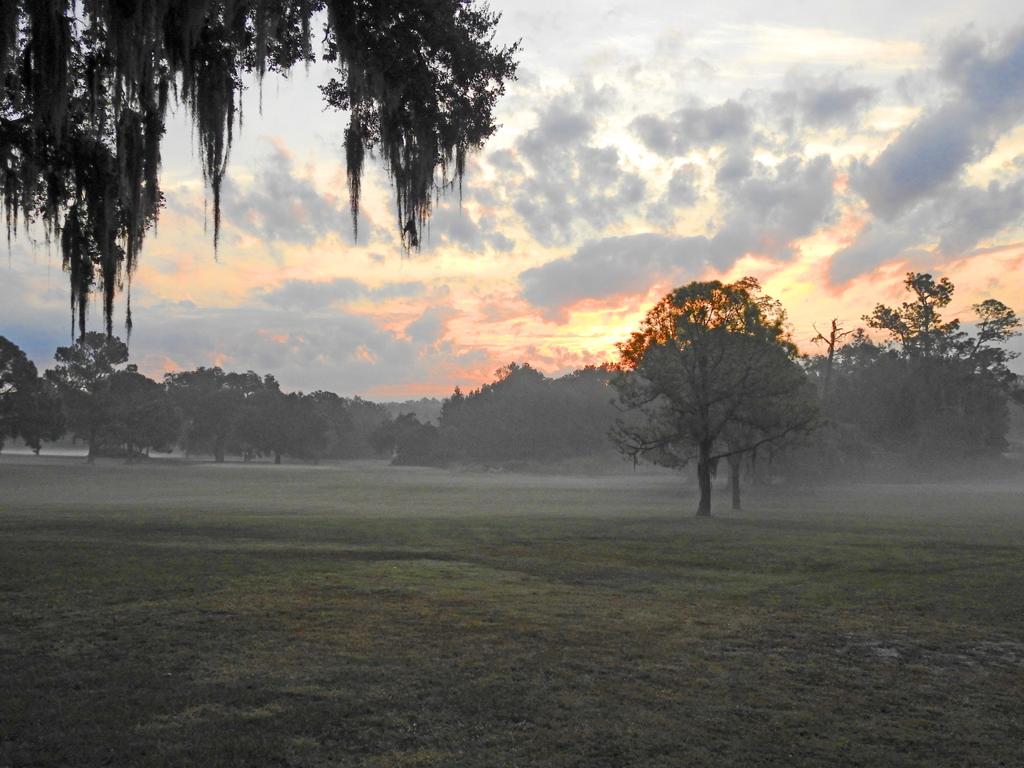 abbey-golf-course-driving-range-1755491143352
