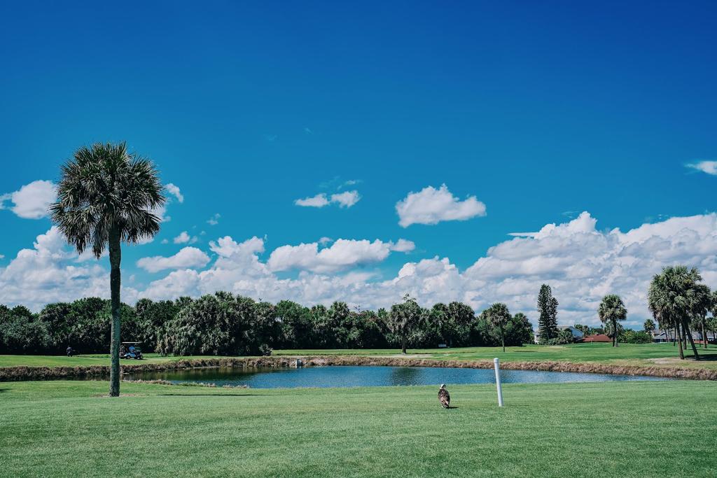 spessard-holland-golf-course-5