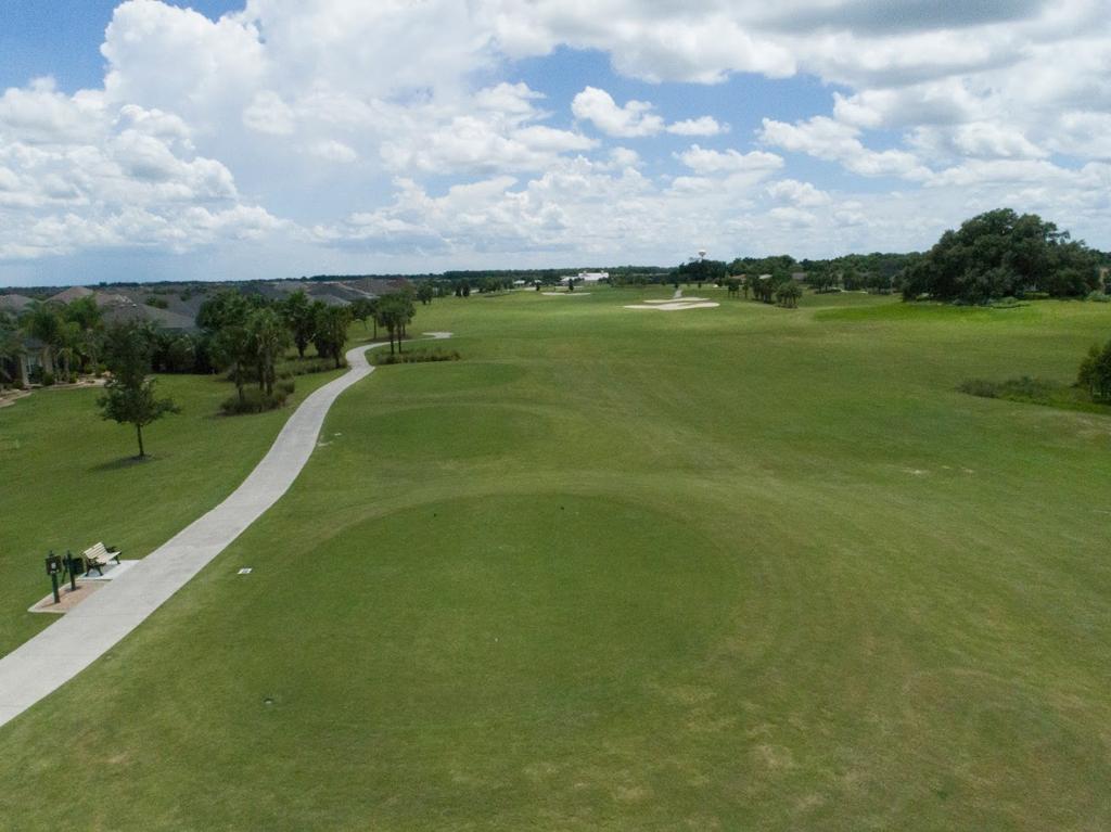 palmetto-executive-golf-course-2