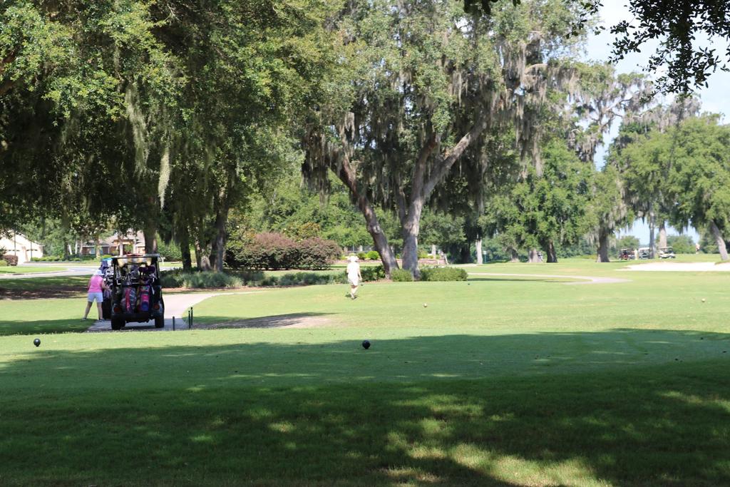 pelican-heron-golf-courses-4