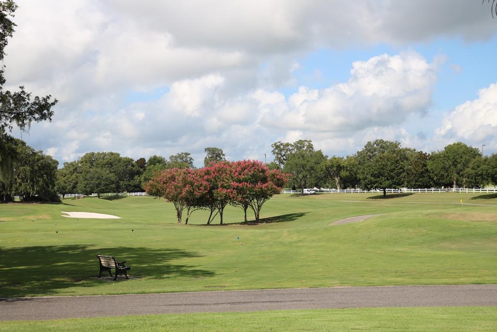saddlebrook-executive-golf-course-5