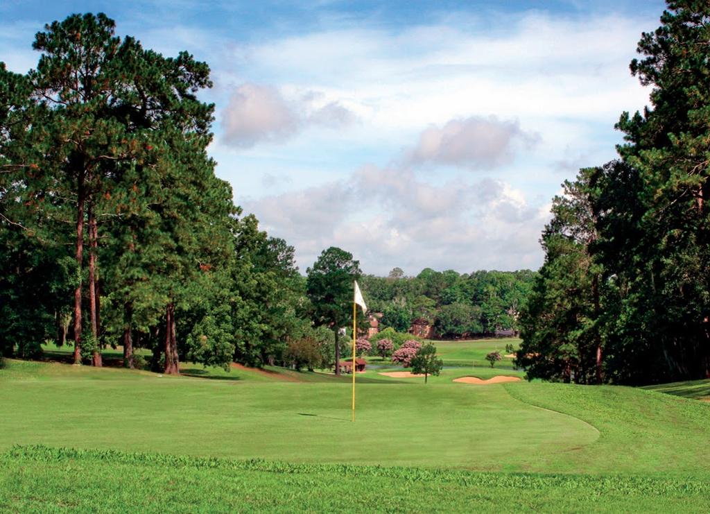 hilaman-golf-course-1755494772673