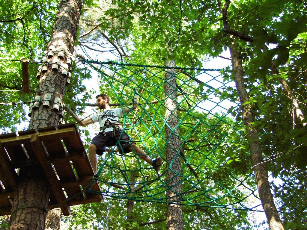 treetop-quest-dunwoody-1755475409442
