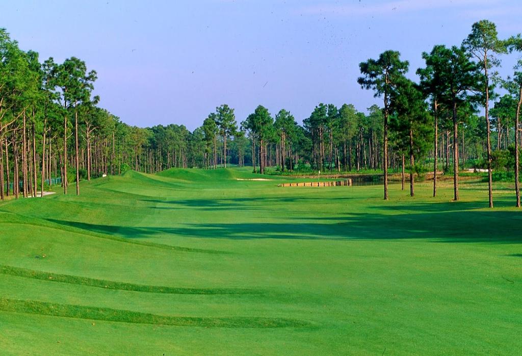palmetto-hall-golf-and-country-club-1755489733405
