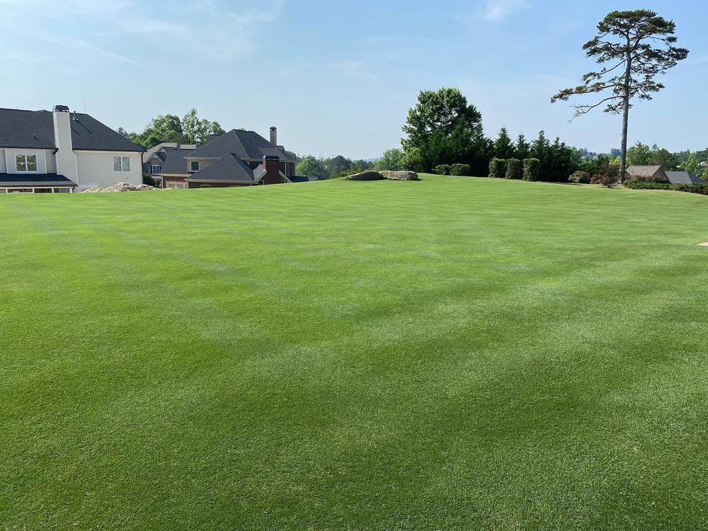 golf-course-lawn-store-1