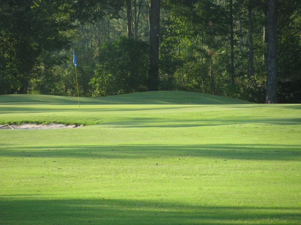 pine-forest-country-club-3